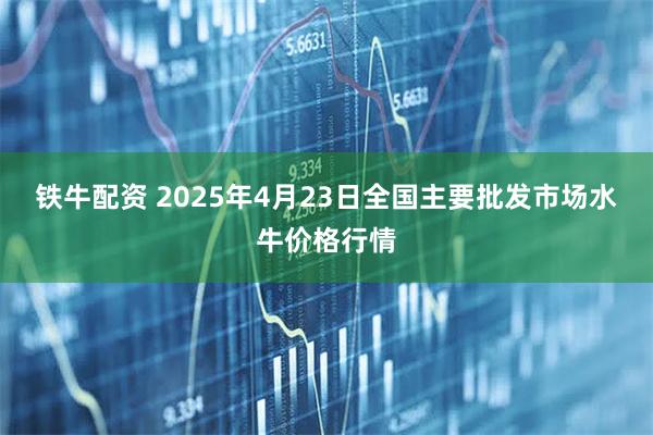 铁牛配资 2025年4月23日全国主要批发市场水牛价格行情