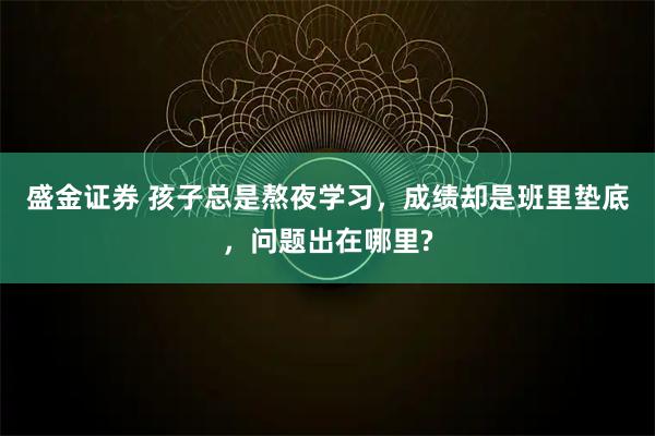 盛金证券 孩子总是熬夜学习，成绩却是班里垫底，问题出在哪里?
