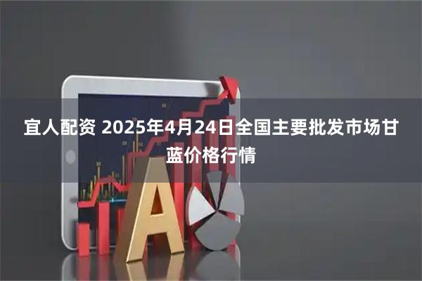 宜人配资 2025年4月24日全国主要批发市场甘蓝价格行情
