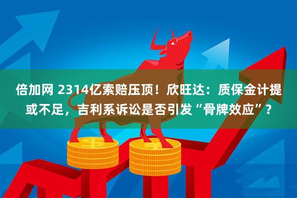 倍加网 2314亿索赔压顶！欣旺达：质保金计提或不足，吉利系诉讼是否引发“骨牌效应”？