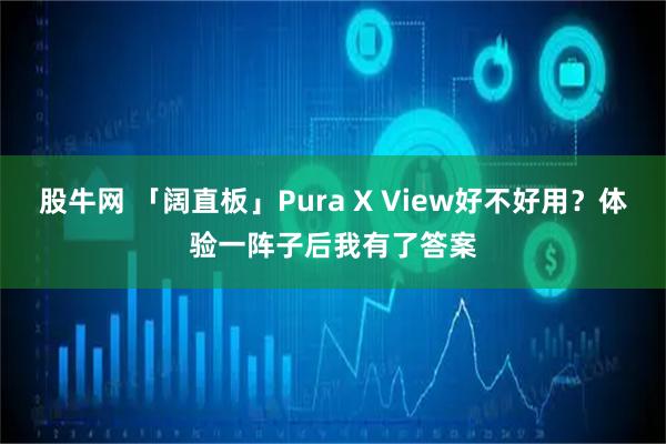 股牛网 「阔直板」Pura X View好不好用？体验一阵子后我有了答案